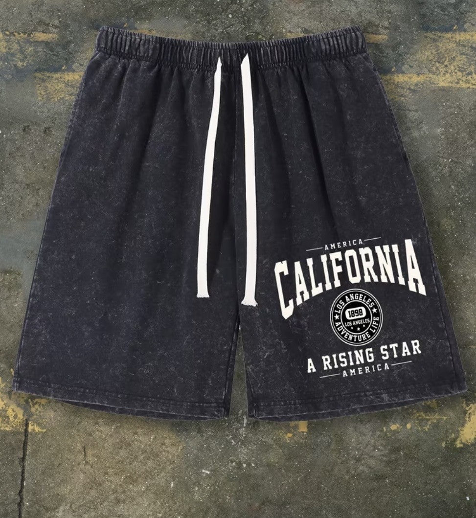 Vintage California Summer Shorts